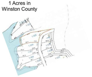 1 Acres in Winston County