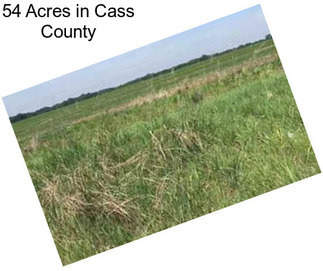 54 Acres in Cass County