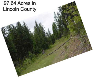 97.64 Acres in Lincoln County