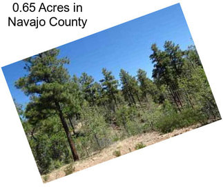 0.65 Acres in Navajo County