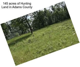 145 acres of Hunting Land in Adams County