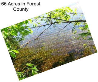 66 Acres in Forest County