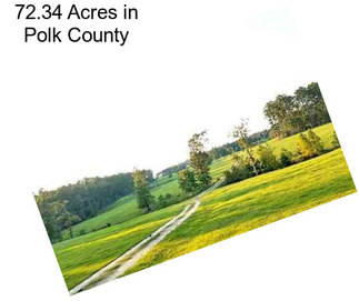 72.34 Acres in Polk County