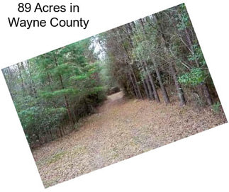 89 Acres in Wayne County