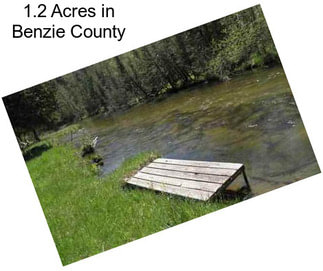 1.2 Acres in Benzie County