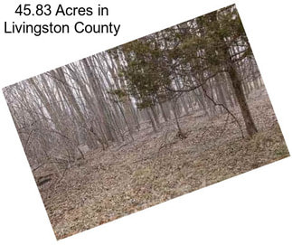 45.83 Acres in Livingston County