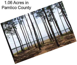 1.06 Acres in Pamlico County