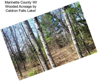 Marinette County WI Wooded Acreage by Caldron Falls Lake!