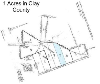 1 Acres in Clay County