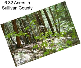 6.32 Acres in Sullivan County