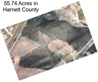 55.74 Acres in Harnett County