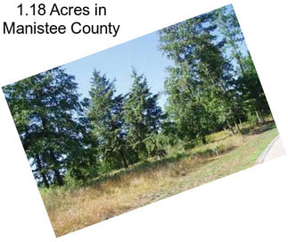 1.18 Acres in Manistee County