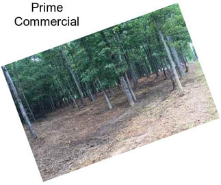 Prime Commercial