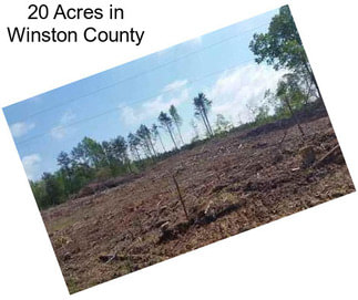 20 Acres in Winston County