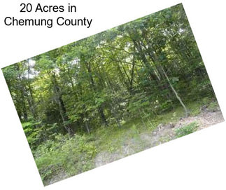 20 Acres in Chemung County