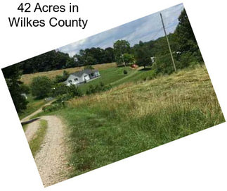 42 Acres in Wilkes County