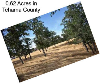 0.62 Acres in Tehama County