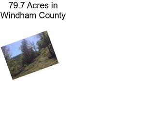 79.7 Acres in Windham County
