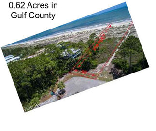 0.62 Acres in Gulf County