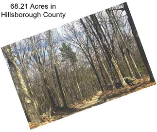 68.21 Acres in Hillsborough County