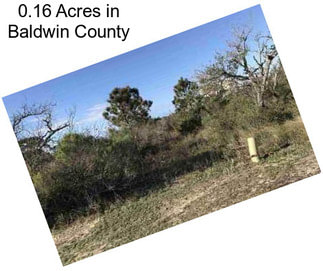0.16 Acres in Baldwin County