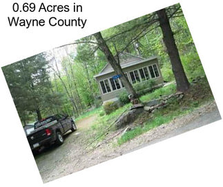 0.69 Acres in Wayne County