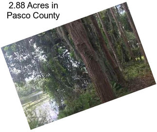 2.88 Acres in Pasco County