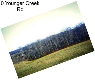 0 Younger Creek Rd