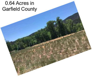 0.64 Acres in Garfield County