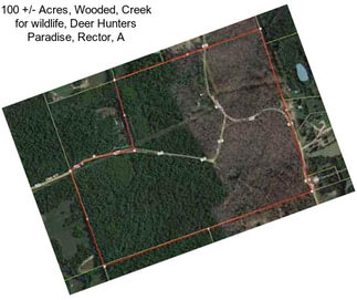 100 +/- Acres, Wooded, Creek for wildlife, Deer Hunters Paradise, Rector, A