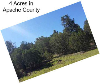 4 Acres in Apache County