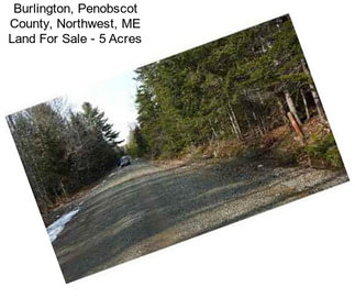 Burlington, Penobscot County, Northwest, ME Land For Sale - 5 Acres