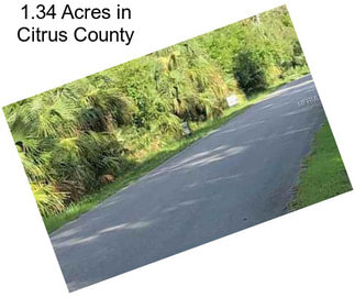 1.34 Acres in Citrus County