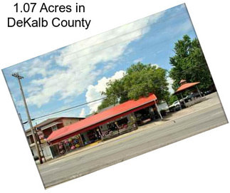 1.07 Acres in DeKalb County
