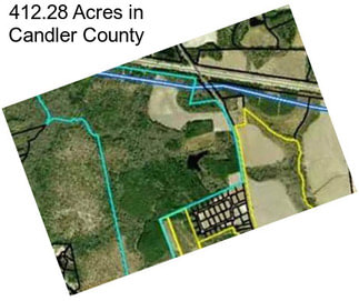 412.28 Acres in Candler County