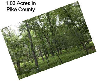 1.03 Acres in Pike County