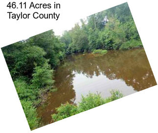 46.11 Acres in Taylor County