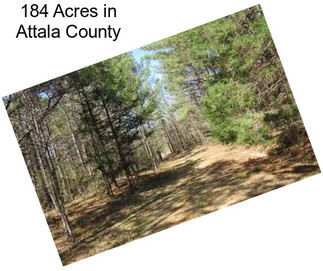 184 Acres in Attala County