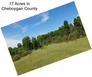 17 Acres in Cheboygan County