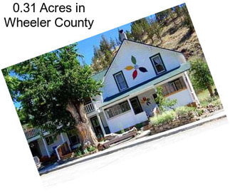 0.31 Acres in Wheeler County