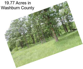 19.77 Acres in Washburn County