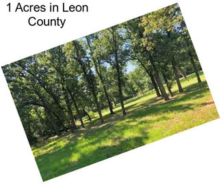 1 Acres in Leon County