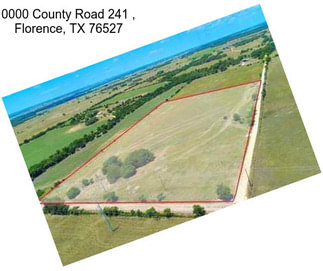 0000 County Road 241 , Florence, TX 76527