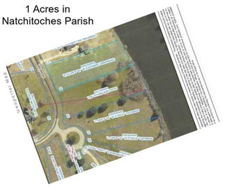 1 Acres in Natchitoches Parish