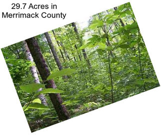 29.7 Acres in Merrimack County