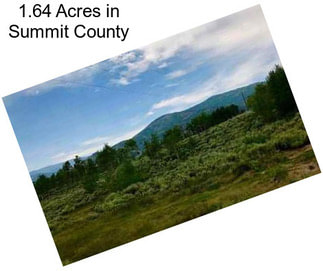 1.64 Acres in Summit County