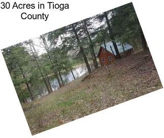 30 Acres in Tioga County