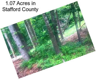 1.07 Acres in Stafford County