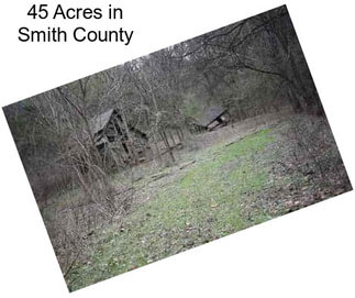 45 Acres in Smith County