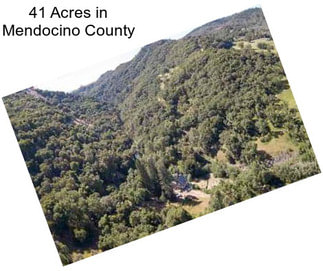 41 Acres in Mendocino County